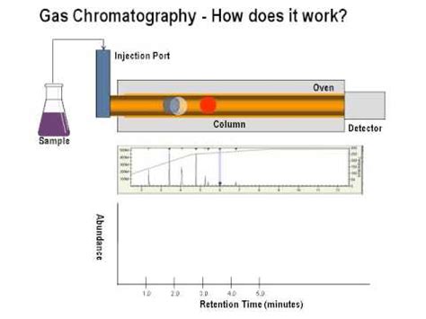 chromatography animation|gas chromatography animations.